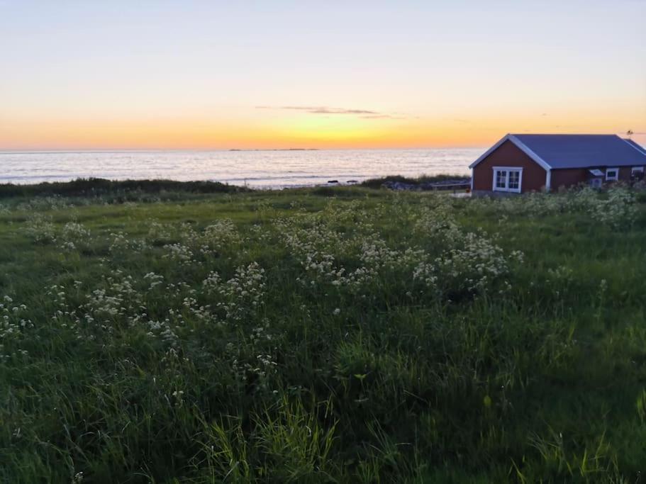 Beach Front Appartments In Design Eco-Villa Ulsteinvik Luaran gambar